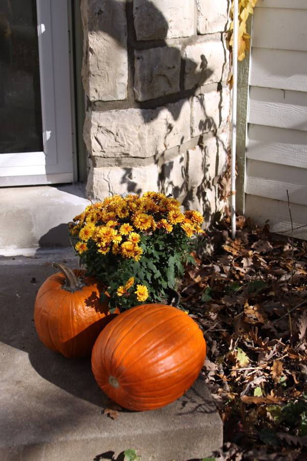 Fall porch installation example 5