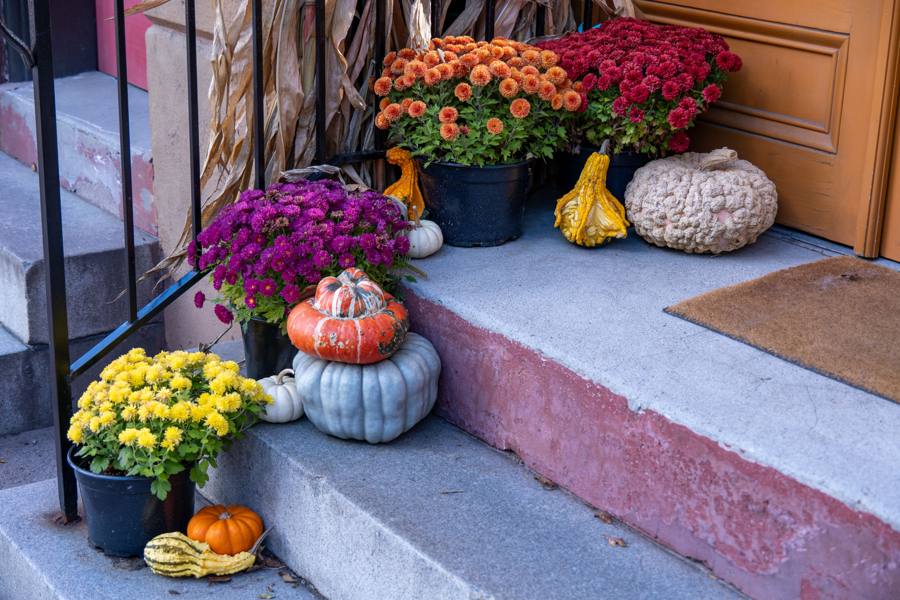 Fall porch with cornstalk and gourd accents