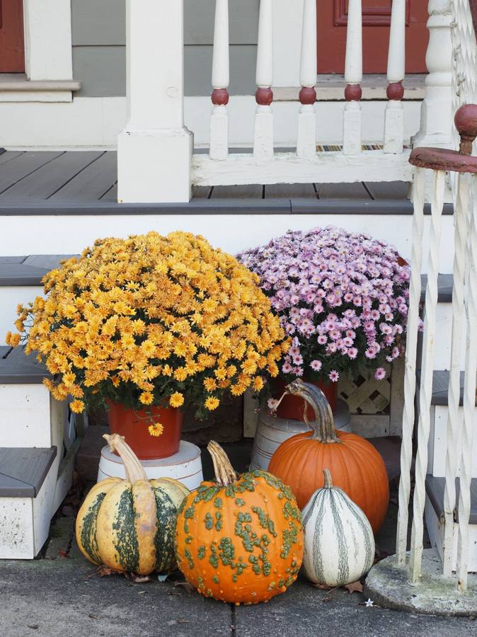 Porch decorated with mums and pumpkins